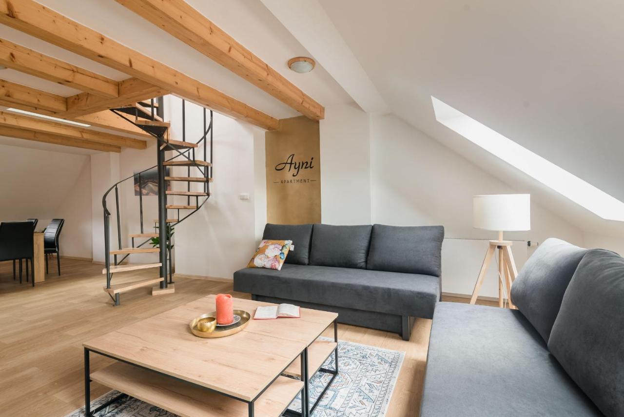 Ayni Apartman Semily Dış mekan fotoğraf